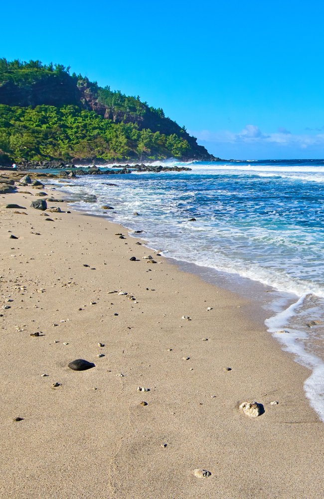 Design sans titre (94)